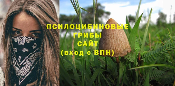 мяу мяу кристалл Алексин